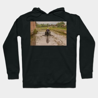 A man in backside view plows a village rice field. Hoodie